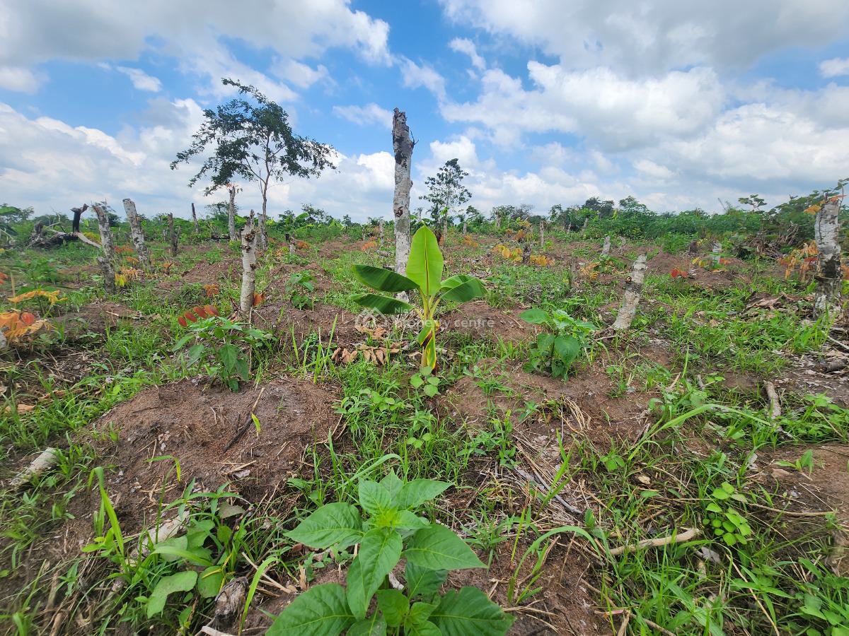 Stop Watching Others Profit From Agriculture, Join Them, Off Funaab, Alabata Road, Odeda, Ogun, Mixed-use Land for Sale
