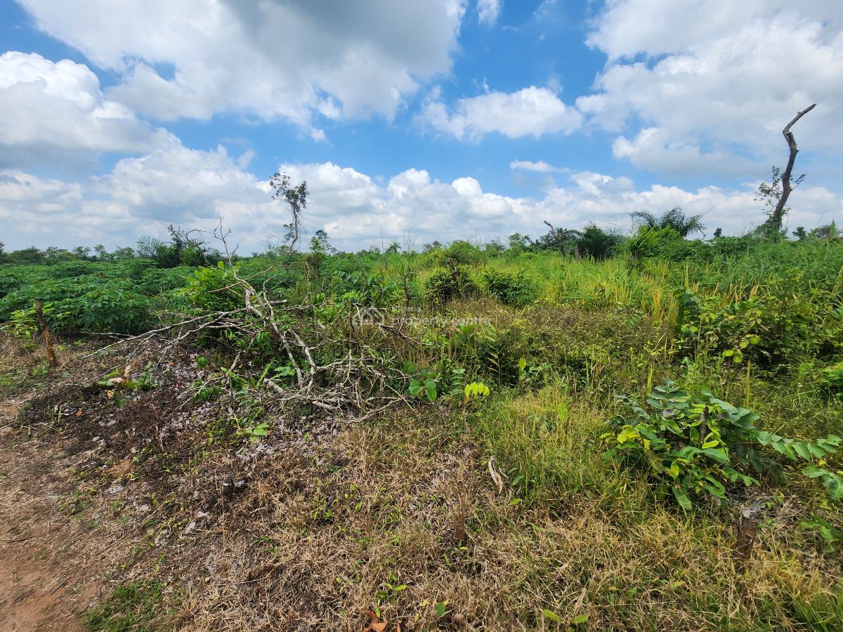 Own Farmland That Appreciates While Producing Income, Off Funaab, Alabata Road, Odeda, Ogun, Mixed-use Land for Sale