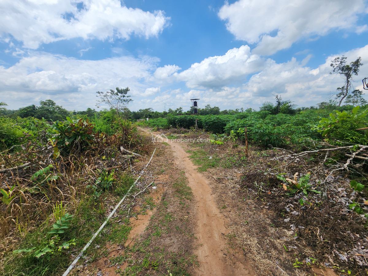Own Farmland That Appreciates While Producing Income, Off Funaab, Alabata Road, Odeda, Ogun, Mixed-use Land for Sale