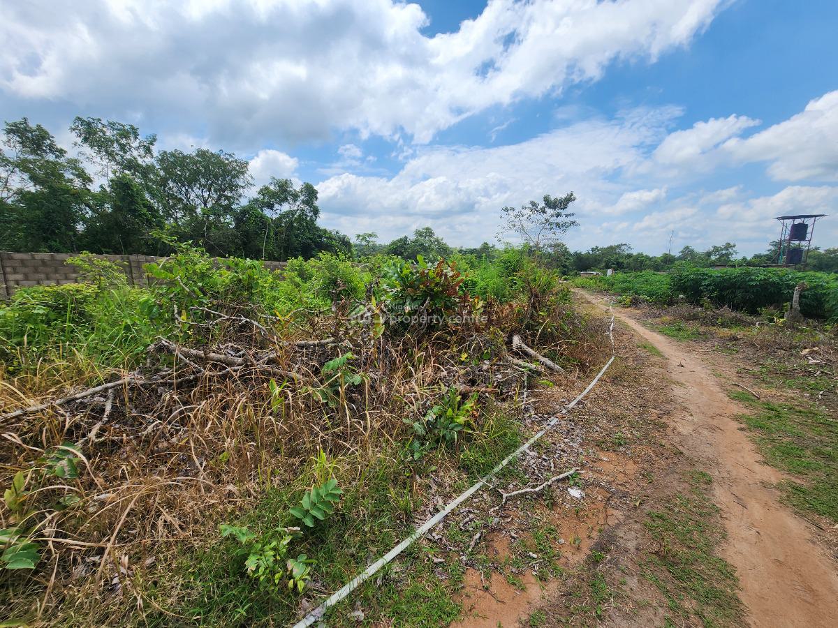 Own Farmland That Appreciates While Producing Income, Off Funaab, Alabata Road, Odeda, Ogun, Mixed-use Land for Sale