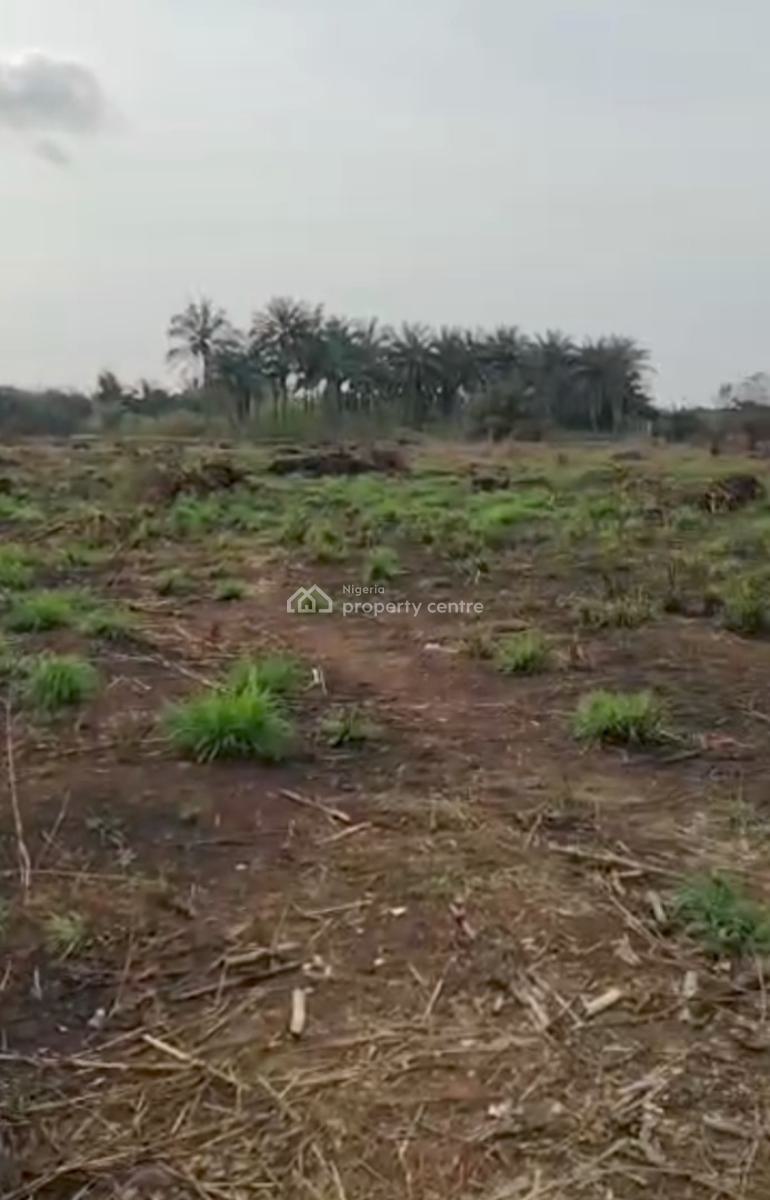 Smart Investment for Great Thinker Strategically  Along The Expressway, California Heights 1 Owa - Oyigbu Agbor, Ika North East, Delta, Residential Land for Sale