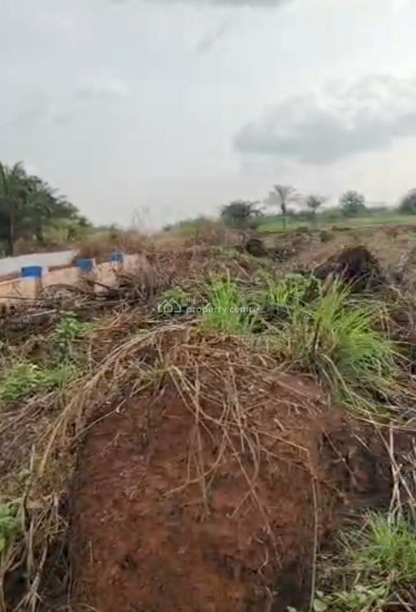 Smart Investment for Great Thinker Strategically  Along The Expressway, California Heights 1 Owa - Oyigbu Agbor, Ika North East, Delta, Residential Land for Sale