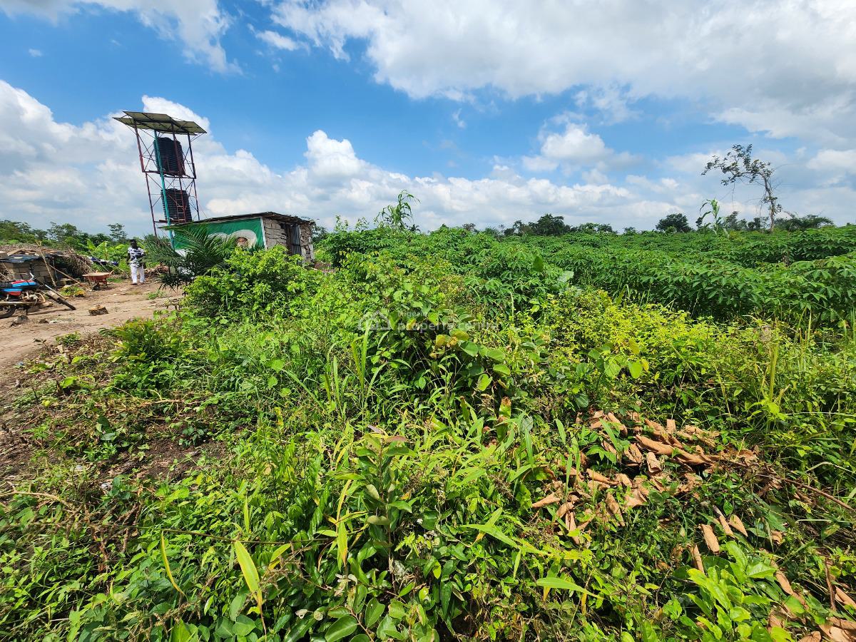 Secure The Future with Farmland That Keeps Producing Income, Off Funaab, Alabata Road, Odeda, Ogun, Mixed-use Land for Sale