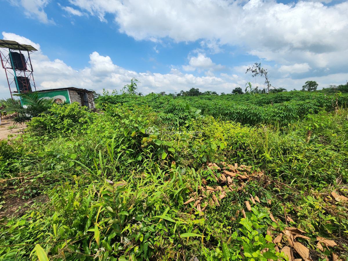 Secure The Future with Farmland That Keeps Producing Income, Off Funaab, Alabata Road, Odeda, Ogun, Mixed-use Land for Sale