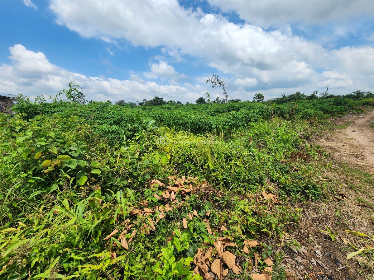 Secure The Future with Farmland That Keeps Producing Income, Off Funaab, Alabata Road, Odeda, Ogun, Mixed-use Land for Sale
