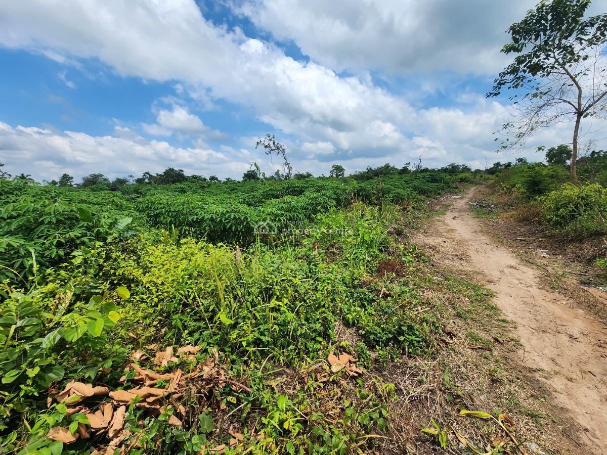 Turn Your Idle Funds Into Thriving Farmland Assets, Off Funaab, Alabata Road, Odeda, Ogun, Mixed-use Land for Sale