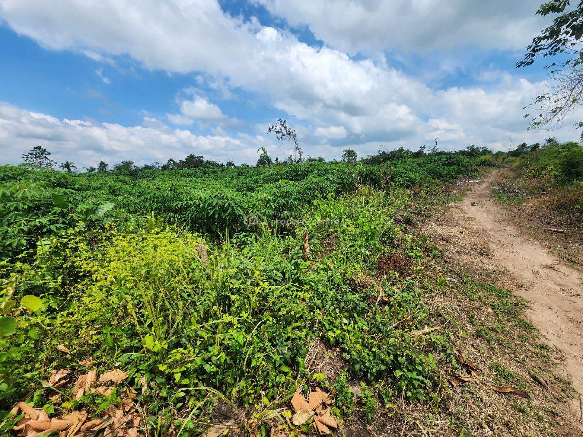Turn Your Idle Funds Into Thriving Farmland Assets, Off Funaab, Alabata Road, Odeda, Ogun, Mixed-use Land for Sale