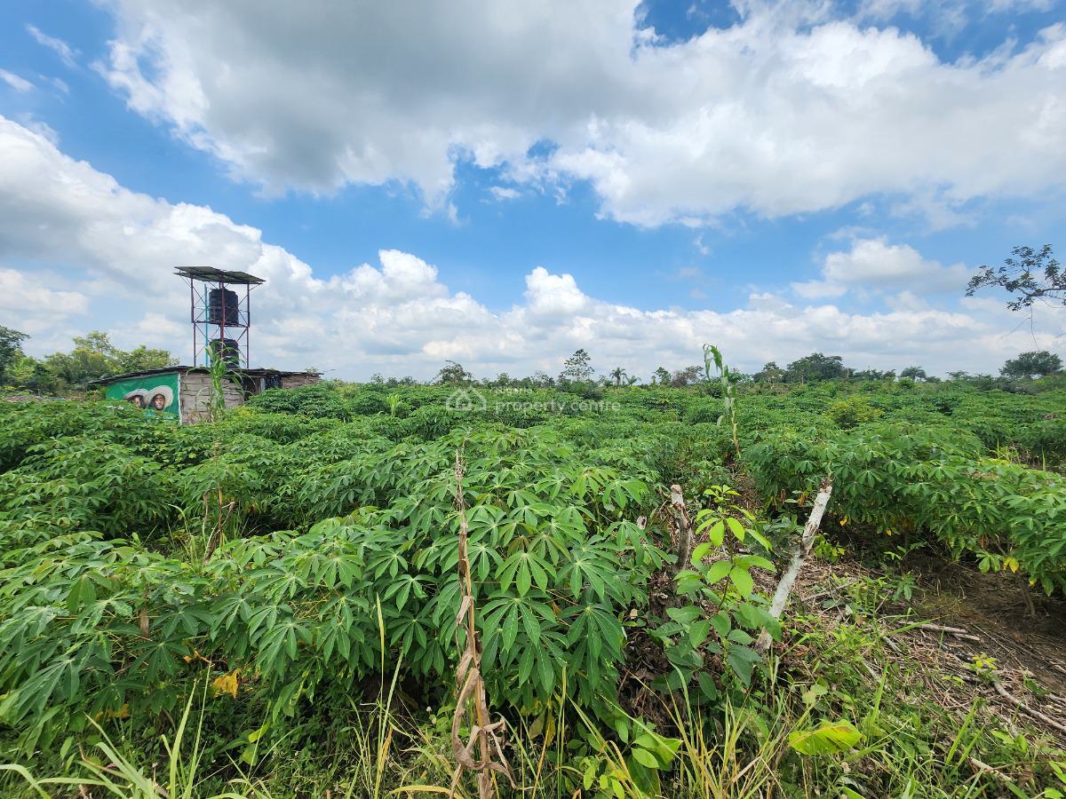 Earn Sustainable Income Through Green Investment, Off Funaab, Alabata Road, Odeda, Ogun, Mixed-use Land for Sale