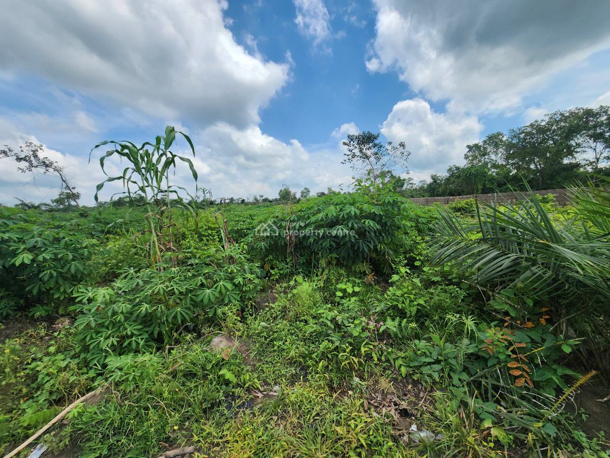 Join People Making Millions Yearly From The Soil, Off Funaab, Alabata Road, Odeda, Ogun, Mixed-use Land for Sale