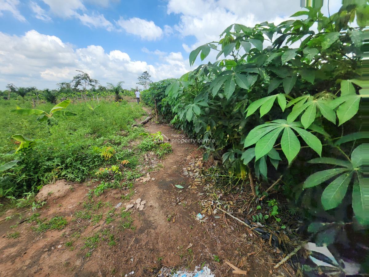 Prices Are Rising Soon, Secure Your Plots Now, Off Funaab, Alabata Road, Odeda, Ogun, Mixed-use Land for Sale
