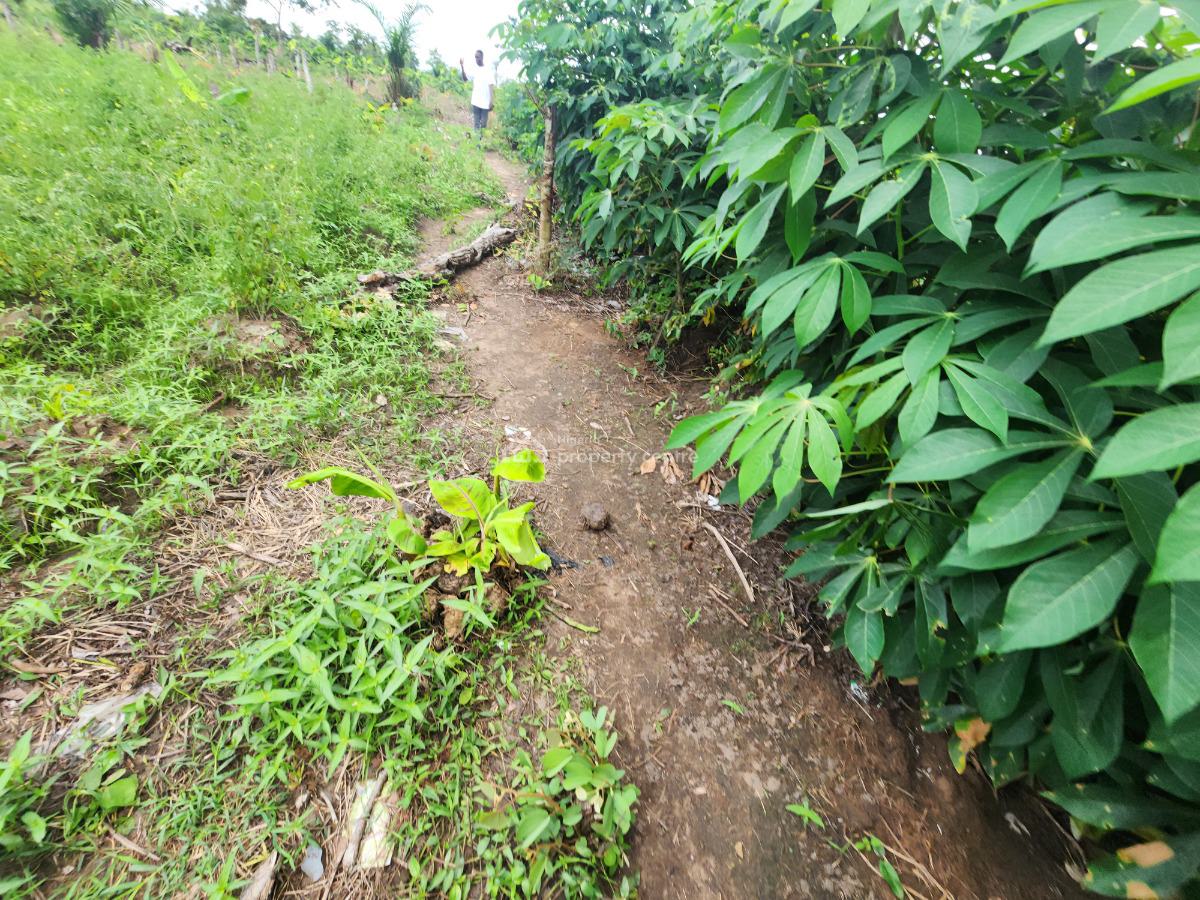 Prices Are Rising Soon, Secure Your Plots Now, Off Funaab, Alabata Road, Odeda, Ogun, Mixed-use Land for Sale