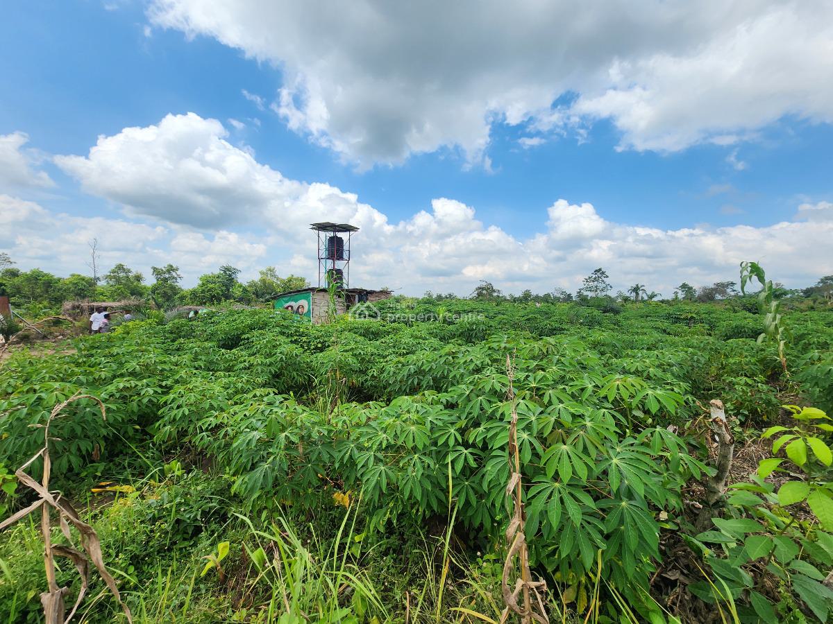 Let Your Investment Breathe, Grow, and Multiply Naturally, Off Funaab, Alabata Road, Odeda, Ogun, Mixed-use Land for Sale