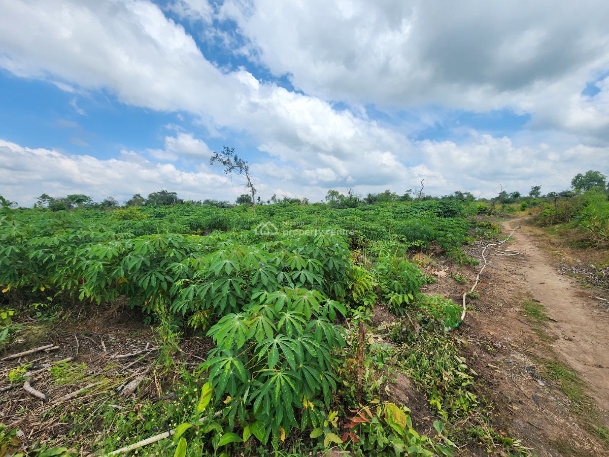 Let Your Investment Breathe, Grow, and Multiply Naturally, Off Funaab, Alabata Road, Odeda, Ogun, Mixed-use Land for Sale