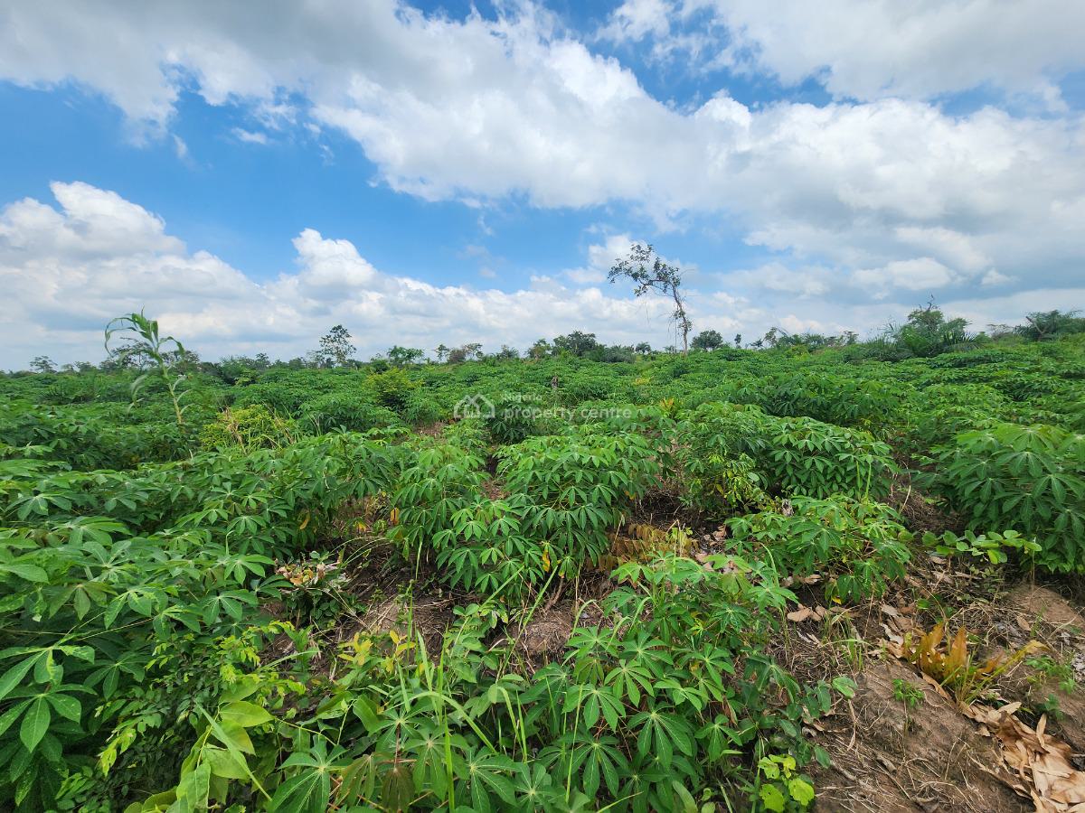 Make Your Money Work for You Through Farmland Investment, Off Funaab, Alabata Road, Odeda, Ogun, Mixed-use Land for Sale