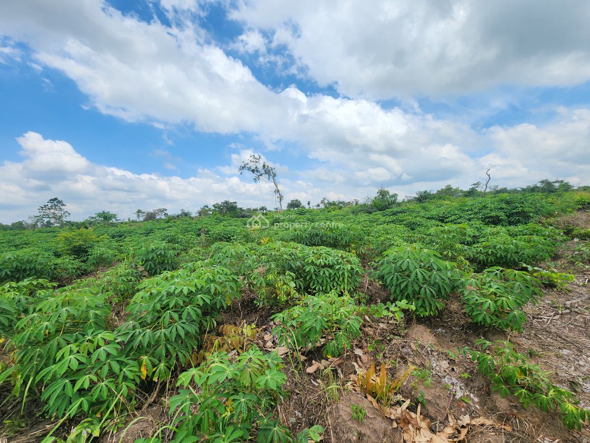 Earn Consistent Returns From Agriculture Without Daily Involvement, Off Funaab, Alabata Road, Odeda, Ogun, Mixed-use Land for Sale