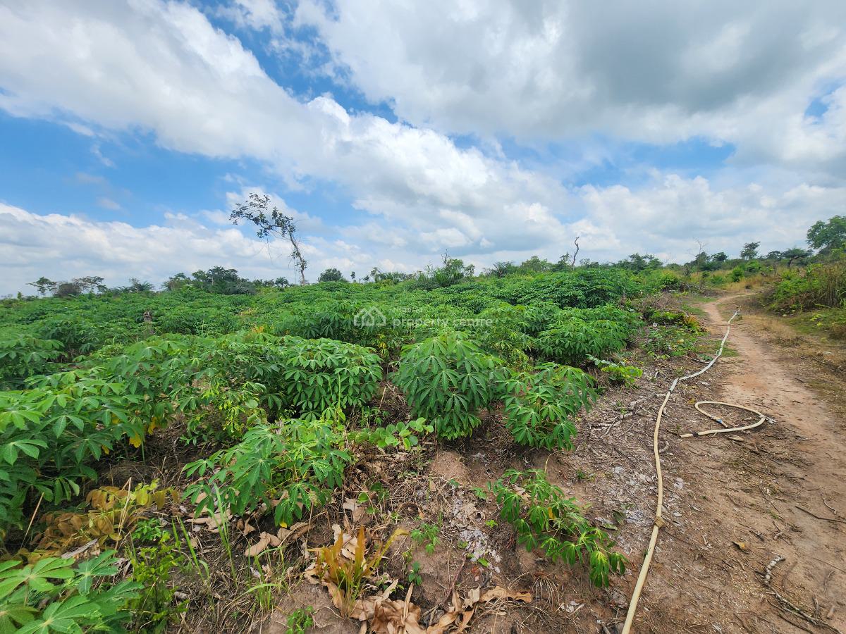Earn Consistent Returns From Agriculture Without Daily Involvement, Off Funaab, Alabata Road, Odeda, Ogun, Mixed-use Land for Sale