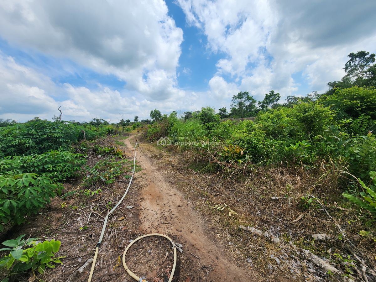 Earn Consistent Returns From Agriculture Without Daily Involvement, Off Funaab, Alabata Road, Odeda, Ogun, Mixed-use Land for Sale