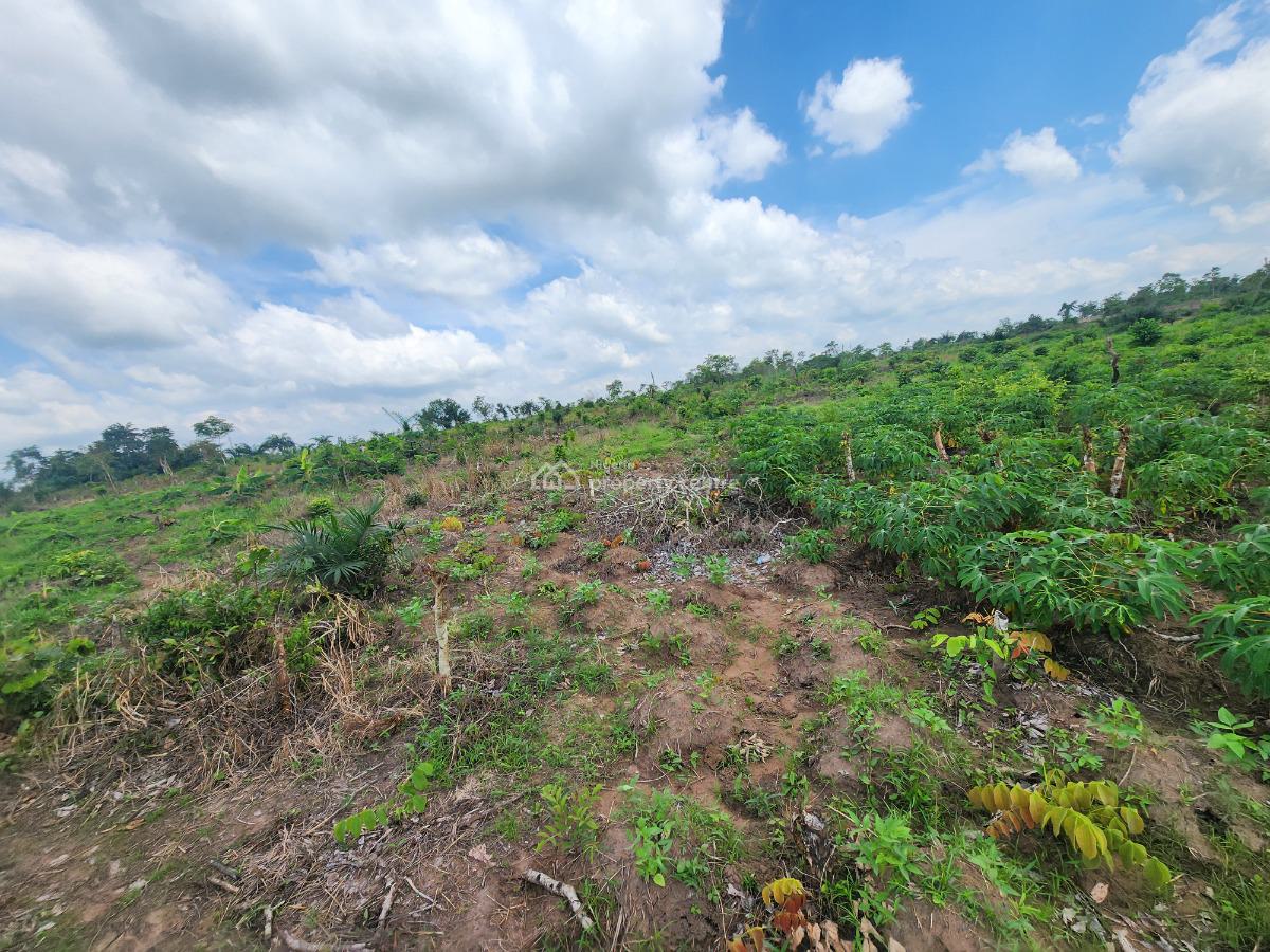 Let Your Farmland Make Money While You Sleep, Off Funaab, Alabata Road, Odeda, Ogun, Mixed-use Land for Sale