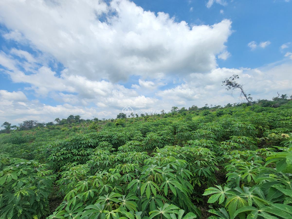 Invest in Acres of Productive Agricultural Land, Off Funaab, Alabata Road, Odeda, Ogun, Mixed-use Land for Sale