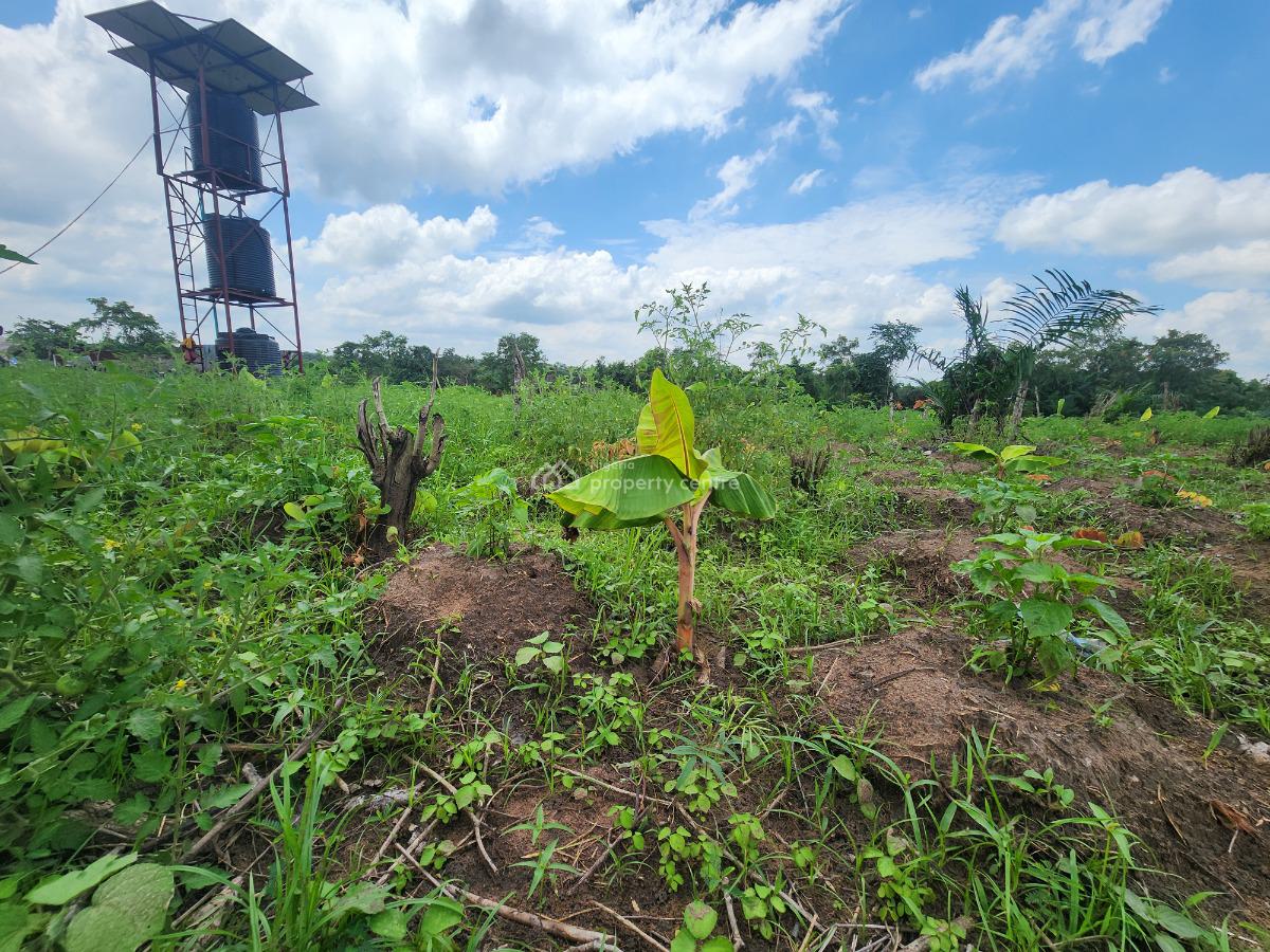 Invest in Acres of Productive Agricultural Land, Off Funaab, Alabata Road, Odeda, Ogun, Mixed-use Land for Sale