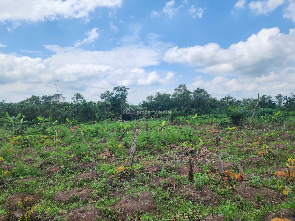Invest in Acres of Farmland with Guaranteed Profitability, Off Funaab, Alabata Road, Odeda, Ogun, Mixed-use Land for Sale