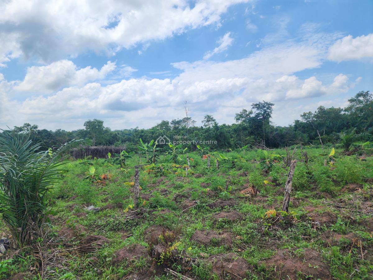 Invest in Acres of Farmland with Guaranteed Profitability, Off Funaab, Alabata Road, Odeda, Ogun, Mixed-use Land for Sale