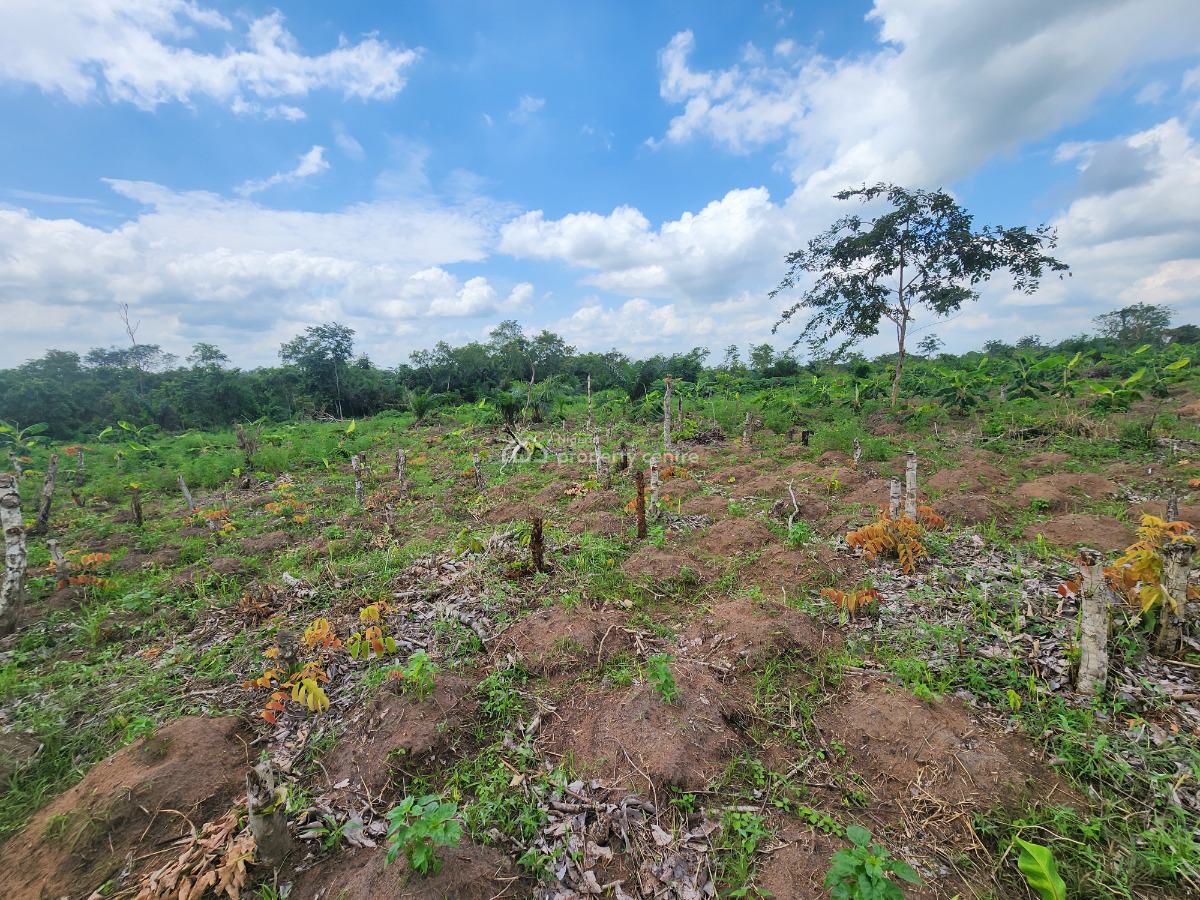 Get Acres of Farmland That Pays You While You Sleep, Off Funaab, Alabata Road, Odeda, Ogun, Mixed-use Land for Sale