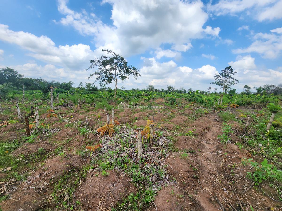 Get Acres of Farmland That Pays You While You Sleep, Off Funaab, Alabata Road, Odeda, Ogun, Mixed-use Land for Sale