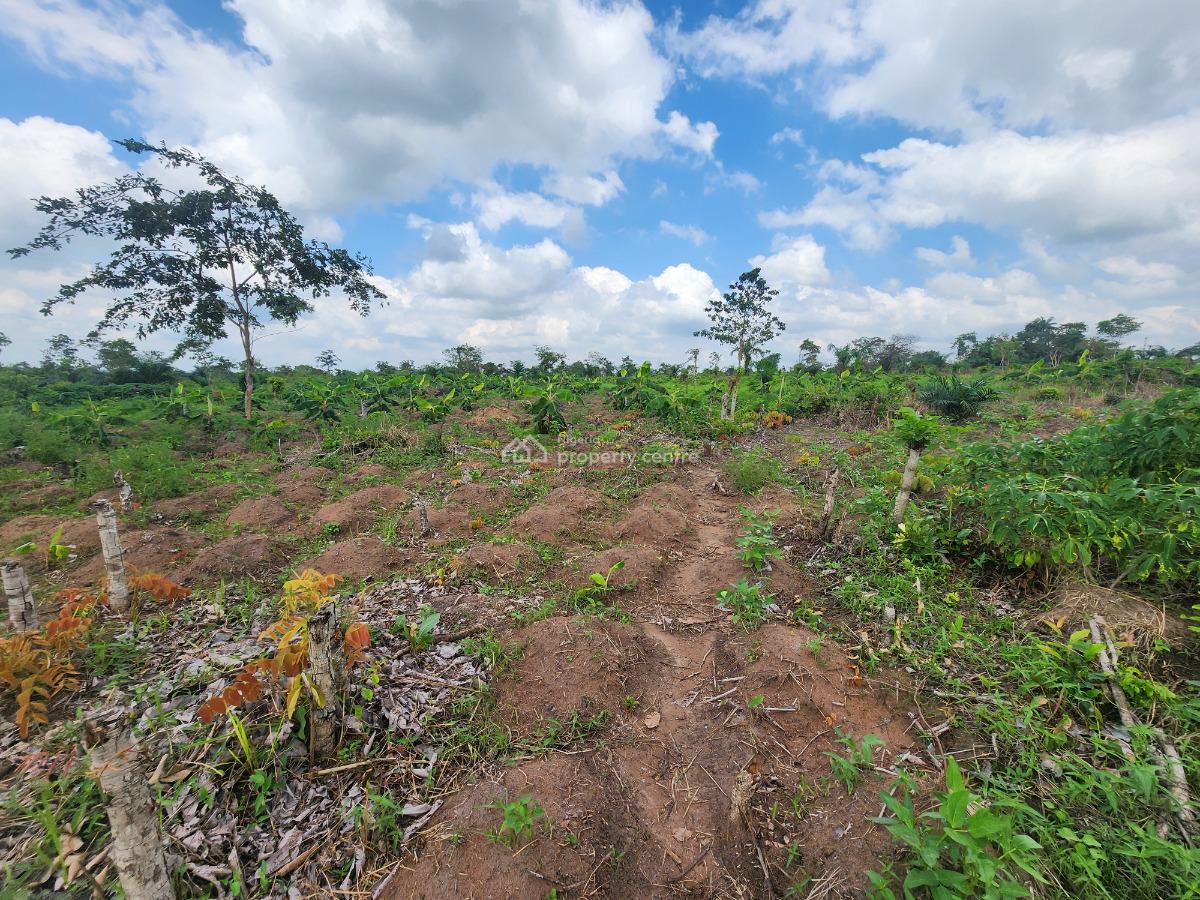 Grow Food, Grow Wealth, Own a Farm, Off Funaab, Alabata Road, Odeda, Ogun, Mixed-use Land for Sale