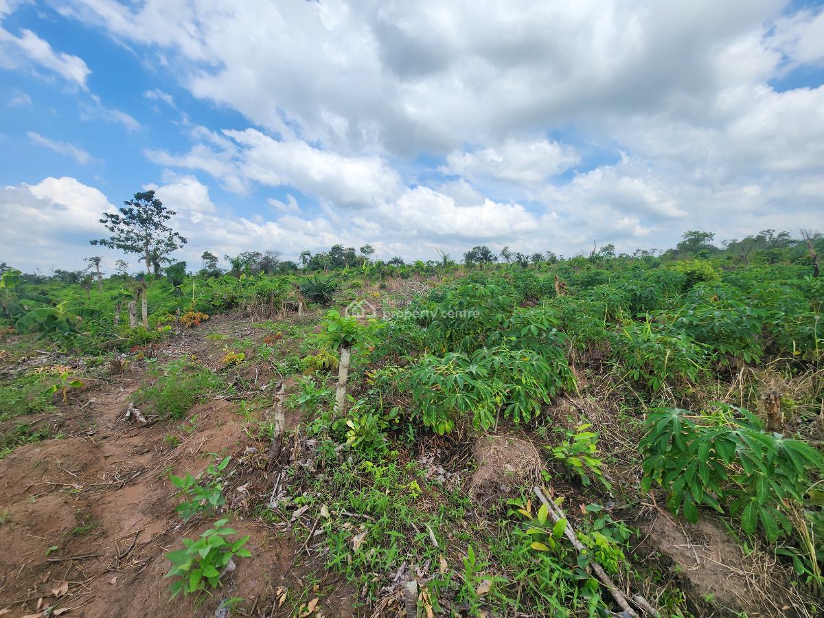 Grow Food, Grow Wealth, Own a Farm, Off Funaab, Alabata Road, Odeda, Ogun, Mixed-use Land for Sale