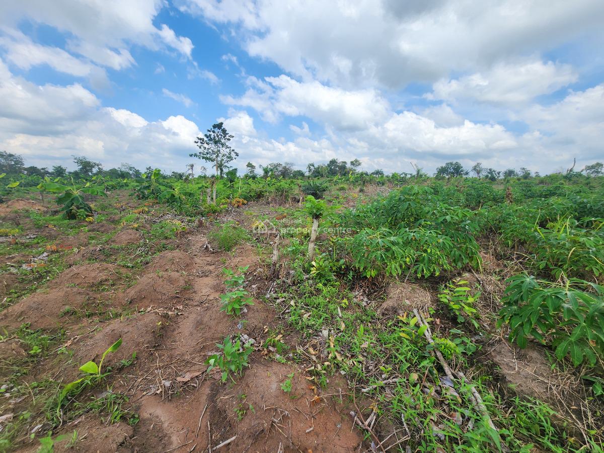 Grow Food, Grow Wealth, Own a Farm, Off Funaab, Alabata Road, Odeda, Ogun, Mixed-use Land for Sale