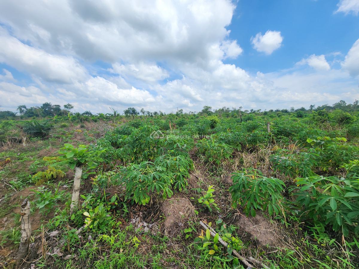 From Soil to Success, Invest in Farming, Off Funaab, Alabata Road, Odeda, Ogun, Mixed-use Land for Sale