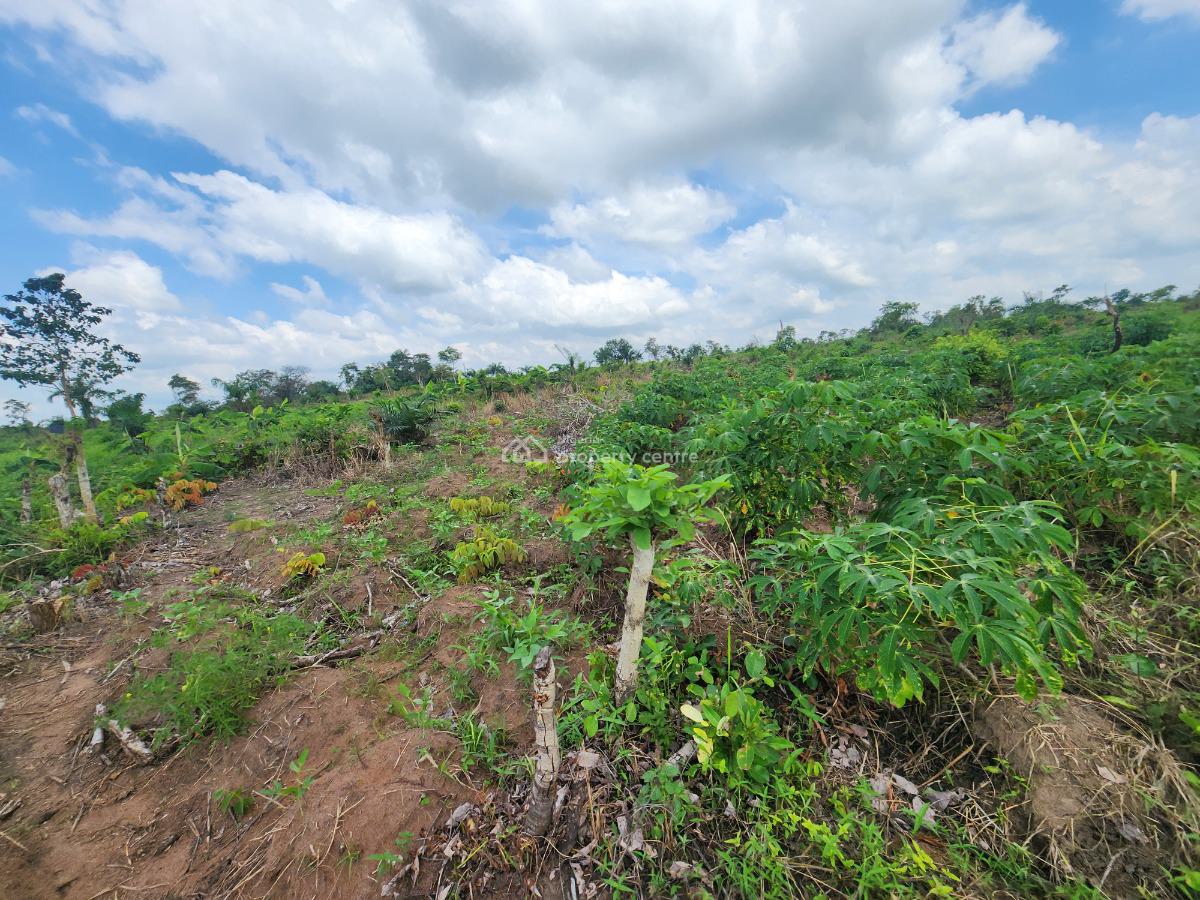 From Soil to Success, Invest in Farming, Off Funaab, Alabata Road, Odeda, Ogun, Mixed-use Land for Sale