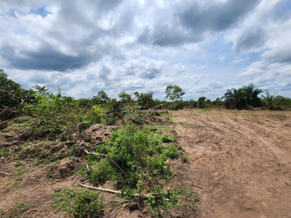 Land, Off Funaab, Alabata Road, Odeda, Ogun, Mixed-use Land for Sale