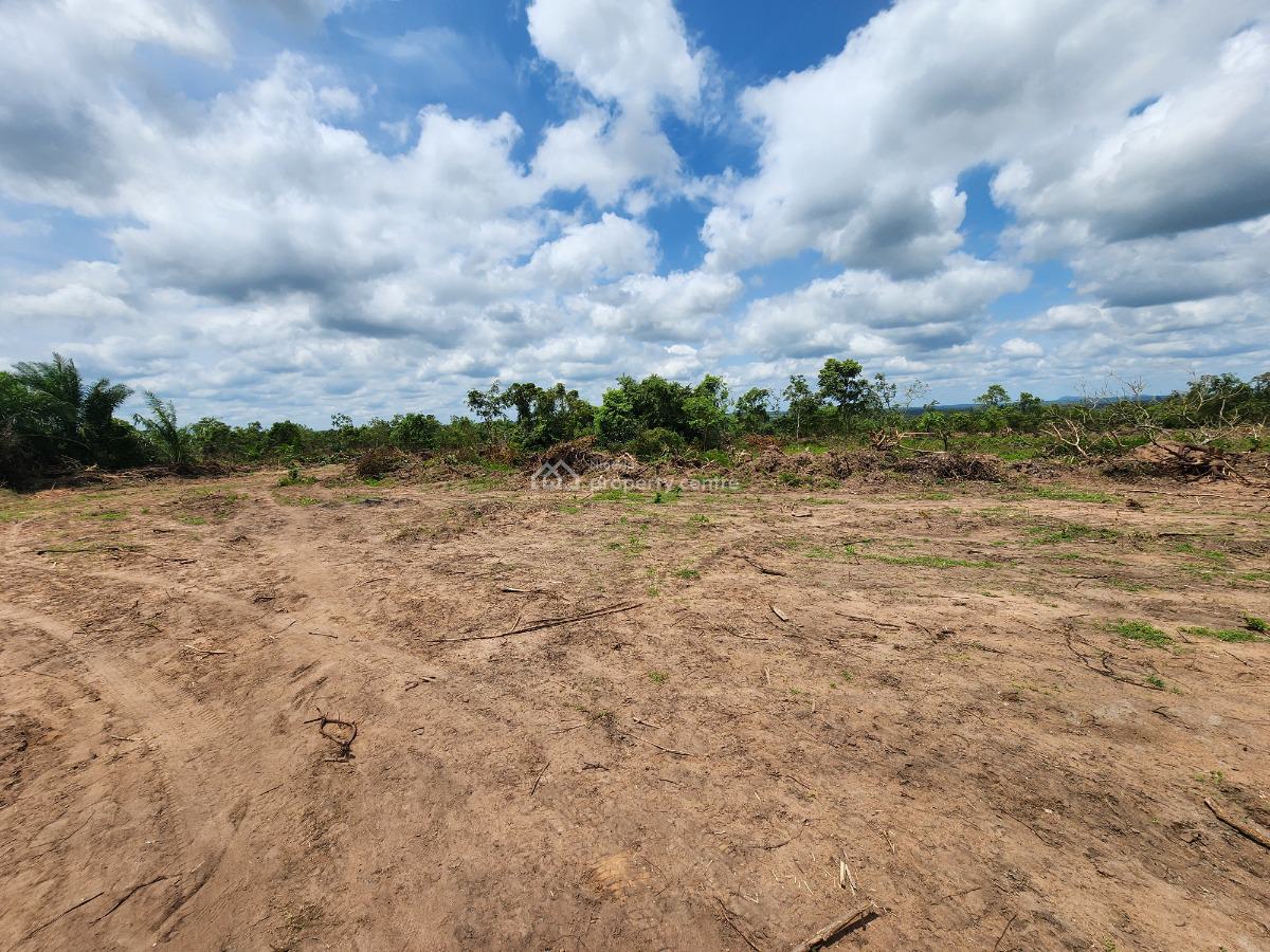 Food Demand Never Stops, Your Profits Shouldnt Either, Off Funaab, Alabata Road, Odeda, Ogun, Mixed-use Land for Sale