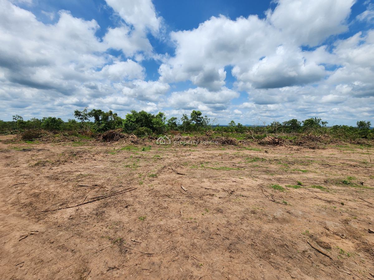 Food Demand Never Stops, Your Profits Shouldnt Either, Off Funaab, Alabata Road, Odeda, Ogun, Mixed-use Land for Sale