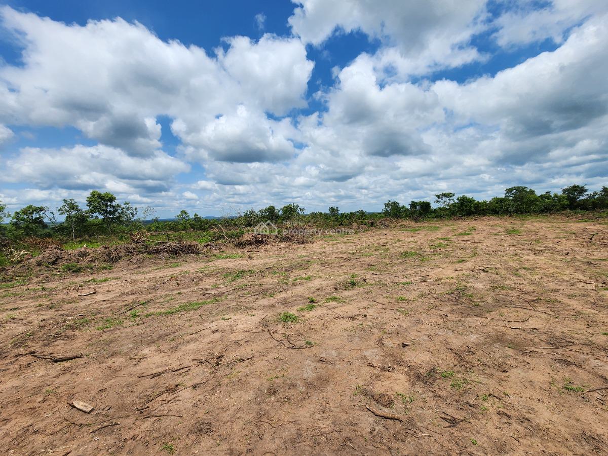 Own Farmland That Appreciates While Producing Income, Off Funaab, Alabata Road, Odeda, Ogun, Mixed-use Land for Sale