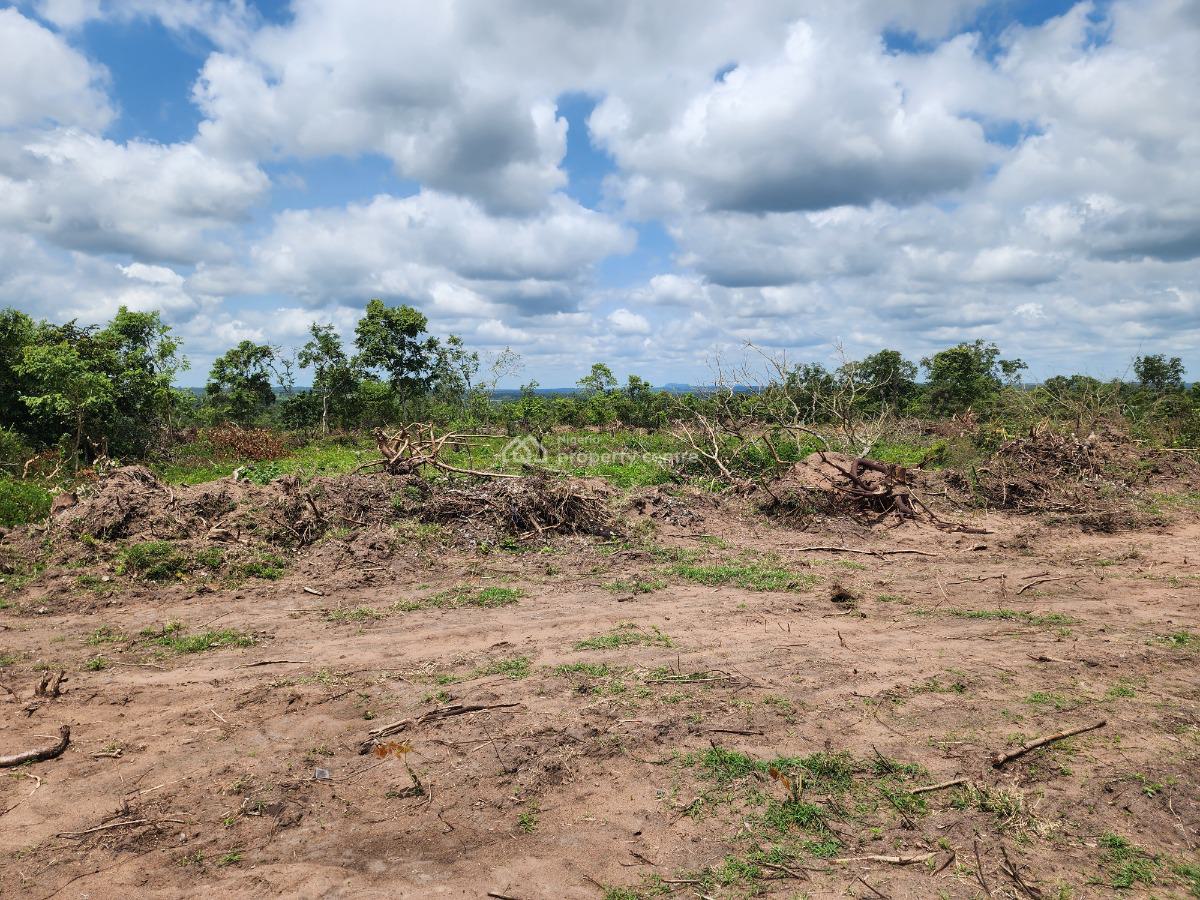 Own Farmland That Appreciates While Producing Income, Off Funaab, Alabata Road, Odeda, Ogun, Mixed-use Land for Sale