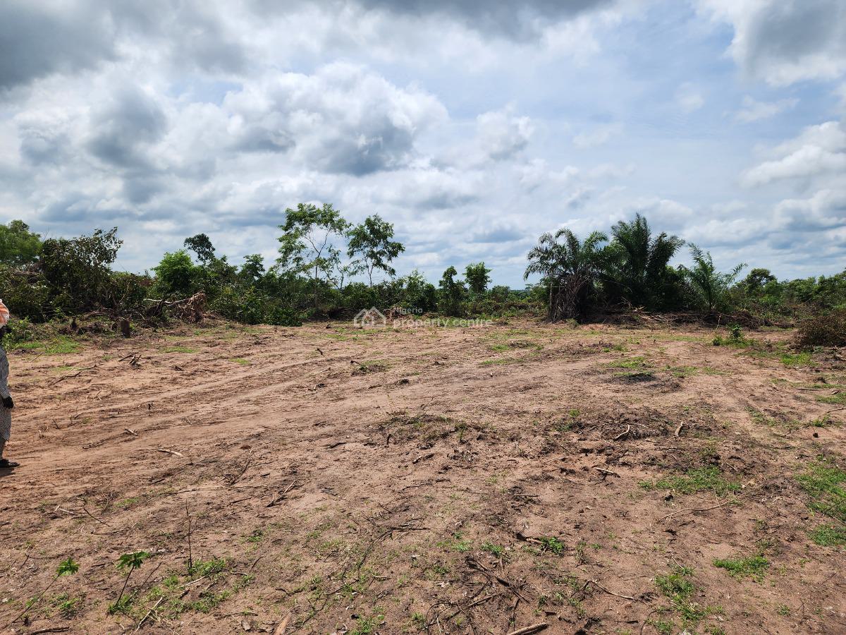 Multiply Your Earnings Through Sustainable Agriculture, Off Funaab, Alabata Road, Odeda, Ogun, Mixed-use Land for Sale