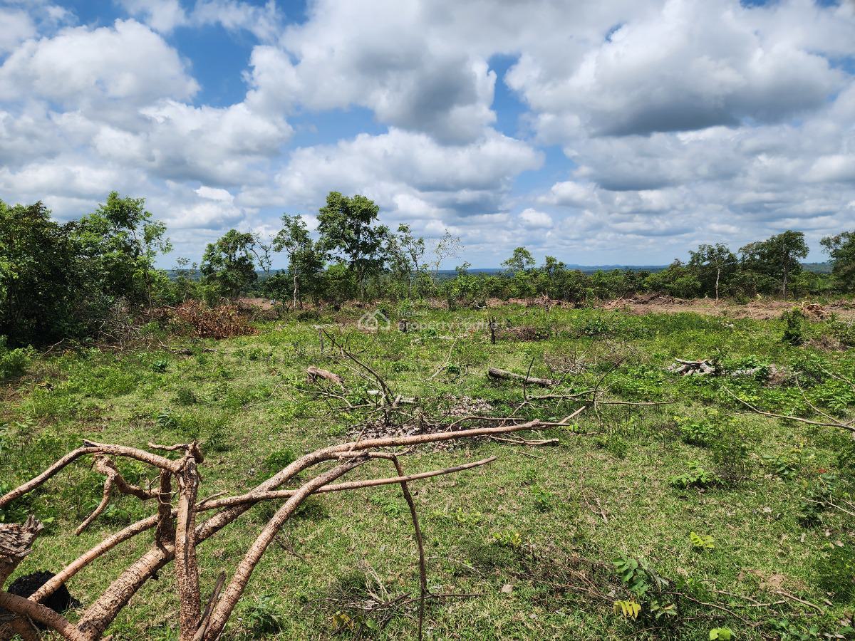 Multiply Your Earnings Through Sustainable Agriculture, Off Funaab, Alabata Road, Odeda, Ogun, Mixed-use Land for Sale