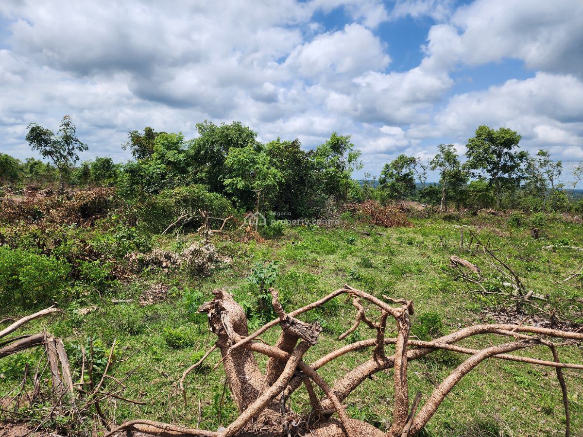 Multiply Your Earnings Through Sustainable Agriculture, Off Funaab, Alabata Road, Odeda, Ogun, Mixed-use Land for Sale