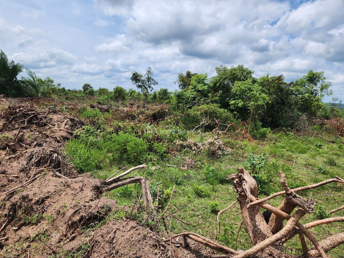 Land, Off Funaab, Alabata Road, Odeda, Ogun, Mixed-use Land for Sale