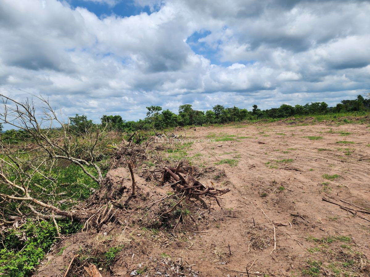 Turn Natures Abundance Into Your Greatest Asset, Off Funaab, Alabata Road, Odeda, Ogun, Mixed-use Land for Sale