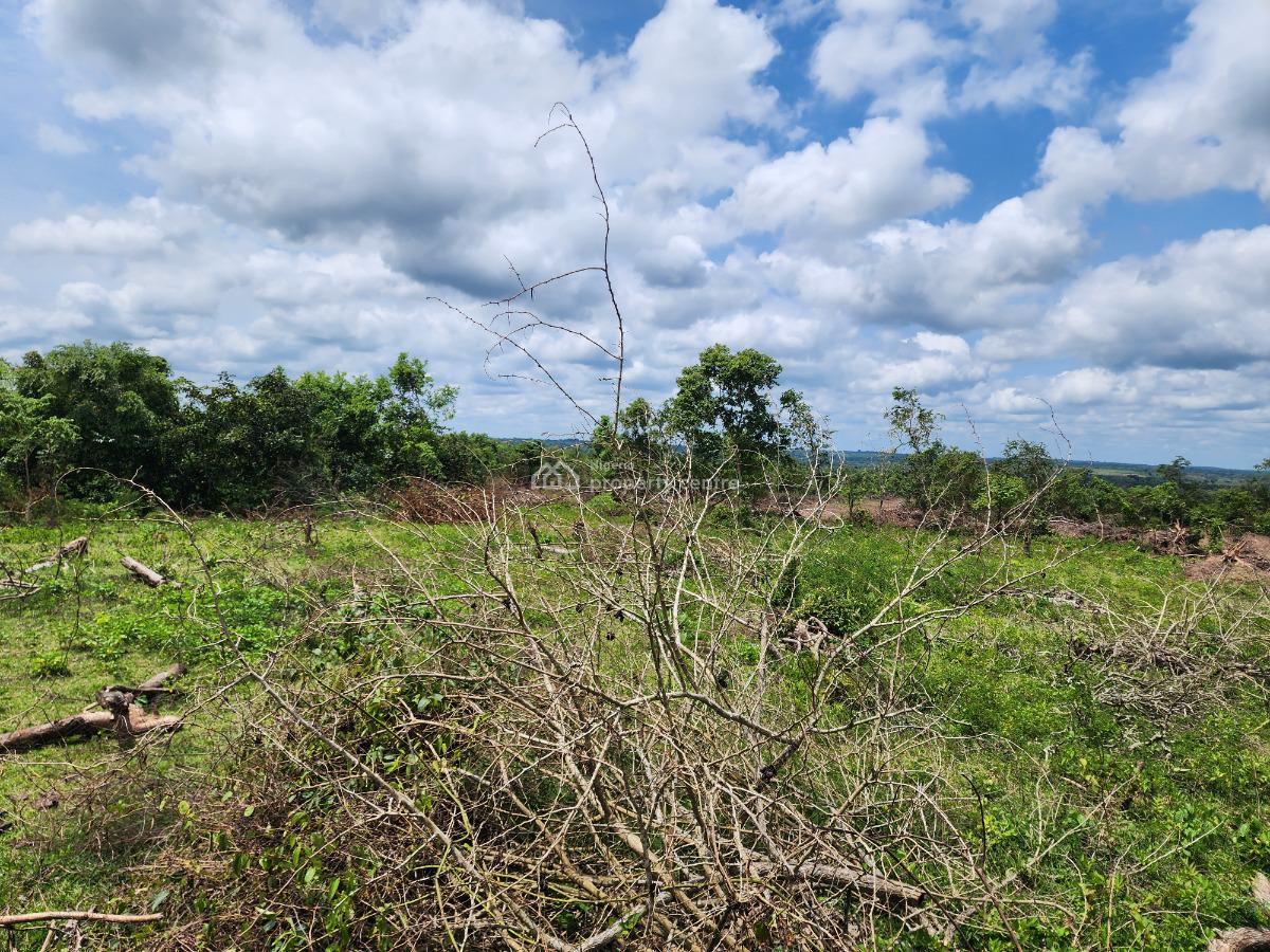 Turn Natures Abundance Into Your Greatest Asset, Off Funaab, Alabata Road, Odeda, Ogun, Mixed-use Land for Sale