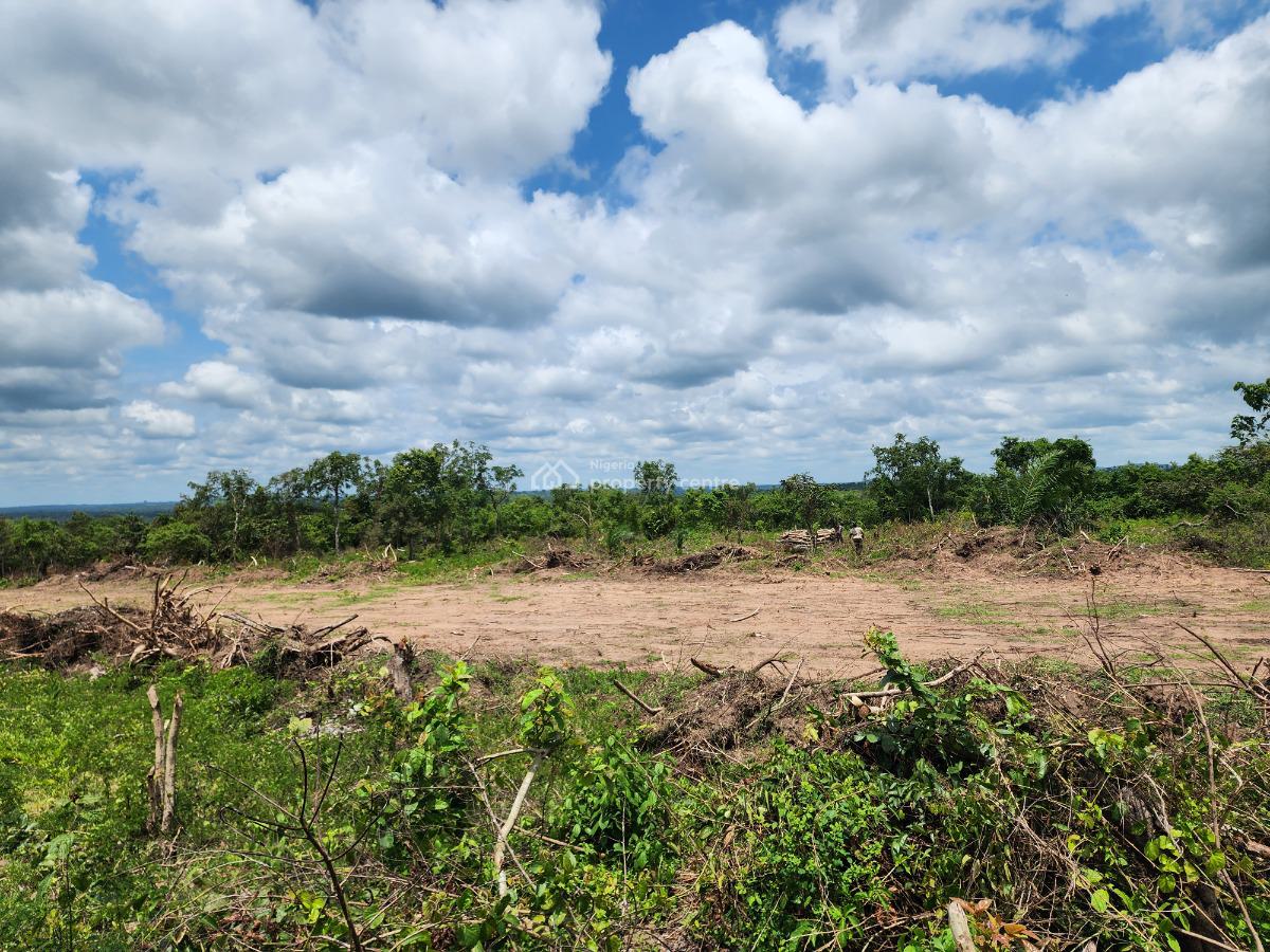 Secure Your Place in Tomorrows Agricultural Revolution, Off Funaab, Alabata Road, Odeda, Ogun, Mixed-use Land for Sale