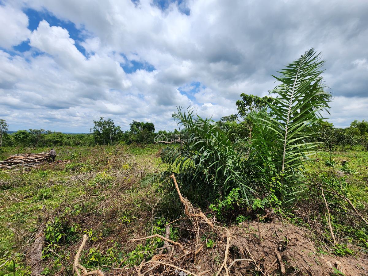 Land, Off Funaab, Alabata Road, Odeda, Ogun, Mixed-use Land for Sale