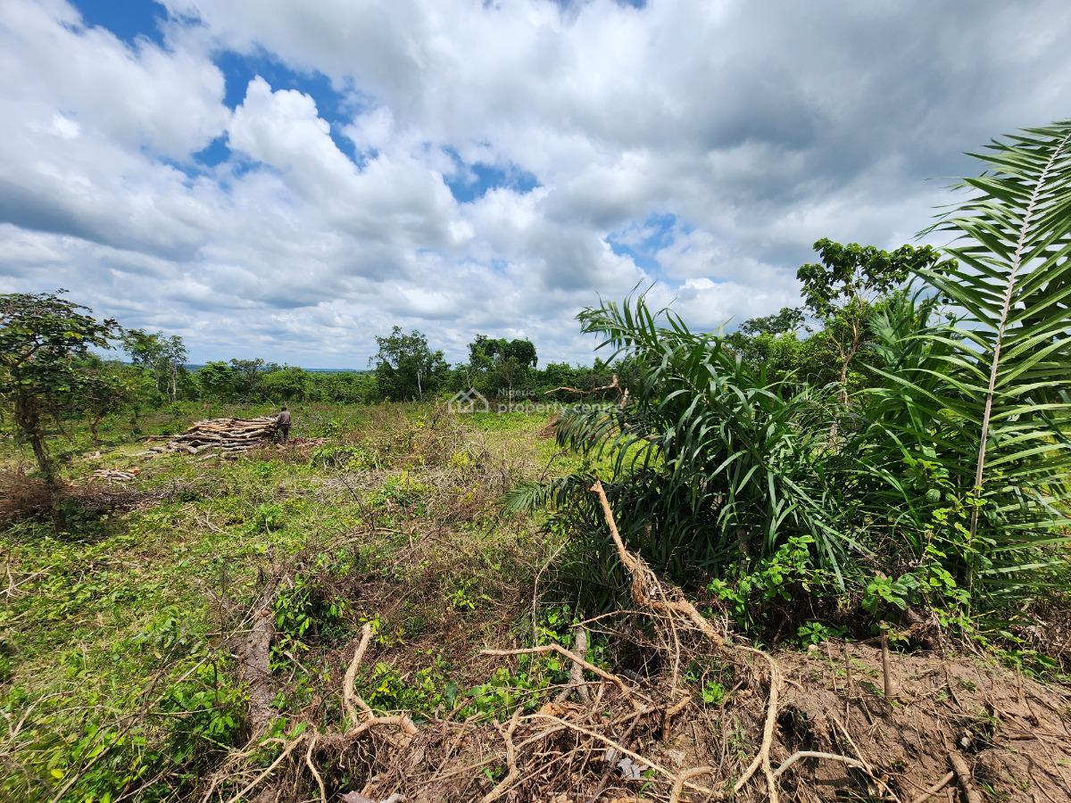 Land, Off Funaab, Alabata Road, Odeda, Ogun, Mixed-use Land for Sale