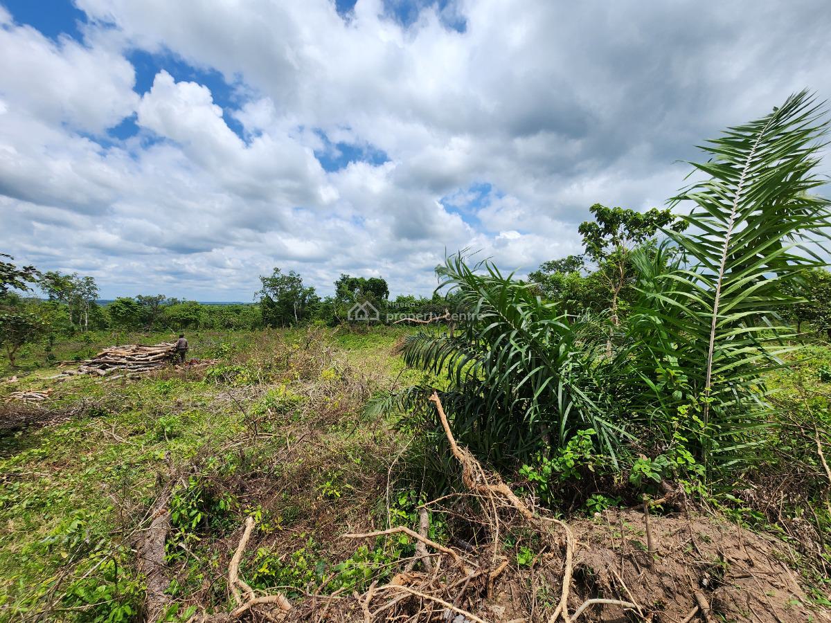 Land, Off Funaab, Alabata Road, Odeda, Ogun, Mixed-use Land for Sale