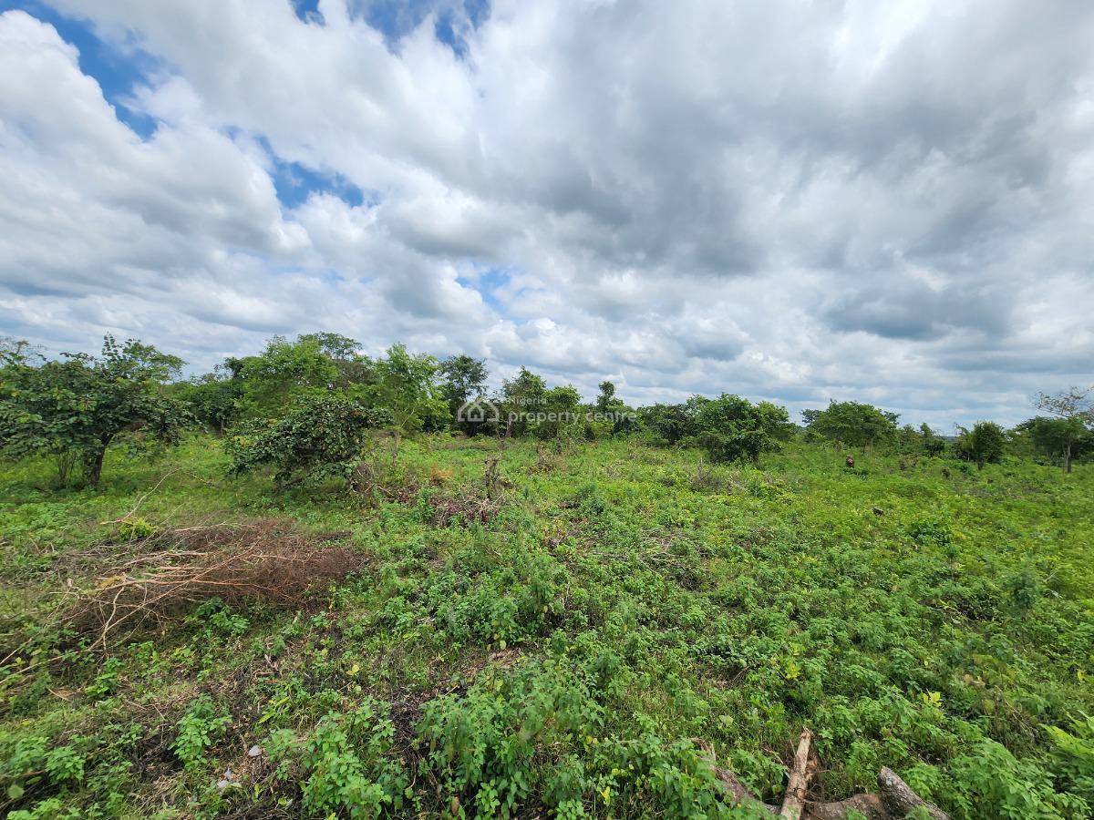 Land, Off Funaab, Alabata Road, Odeda, Ogun, Mixed-use Land for Sale