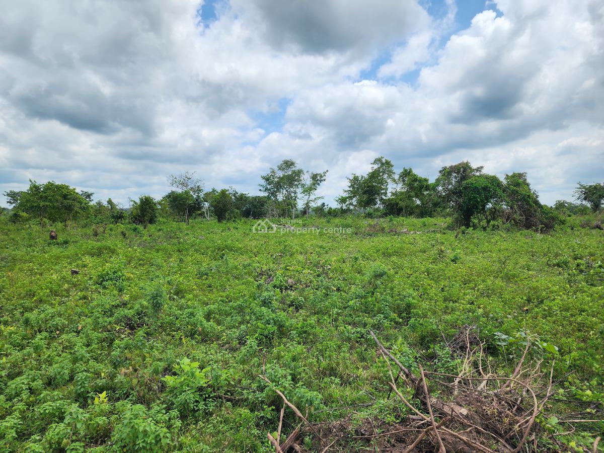 Land, Off Funaab, Alabata Road, Odeda, Ogun, Mixed-use Land for Sale